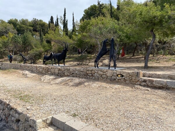 Το εικαστικό πάρκο των ζώων της Ναταλίας Μελά παραδόθηκε συντηρημένο στον Περίπατο των Σπετσών