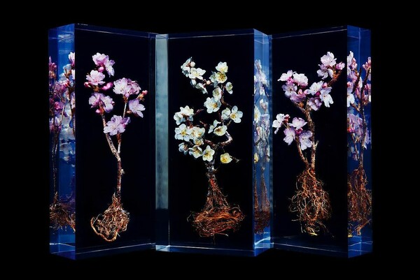 Azuma Makoto: Ο καλλιτέχνης που με τα λουλούδια του κατακτά το σύμπαν