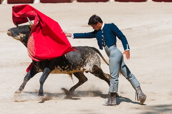 Madrid to host charity bullfight for matadors left jobless by COVID-19