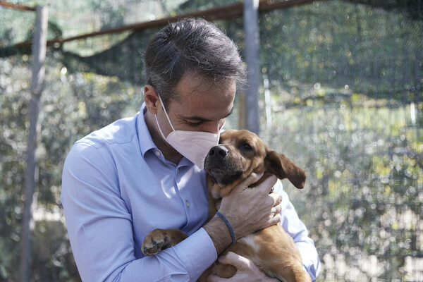 Ο Μητσοτάκης υιοθέτησε αδέσποτο σκύλο στο Μαξίμου (Φωτογραφίες)