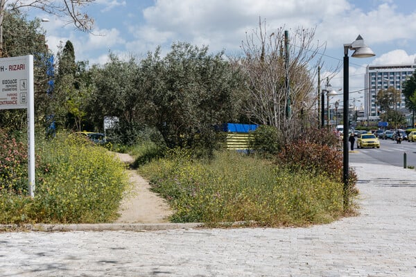 Λεωφόρος Βασιλέως Κωνσταντίνου