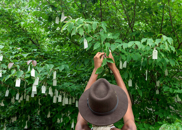 Το διάσημο Wish Tree της Γιόκο Όνο, στον καιρό της πανδημίας