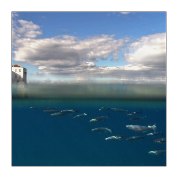 Waterlock: Η καραντίνα μέσα στη θάλασσα των Σπετσών του Ηλία Κοσίντα