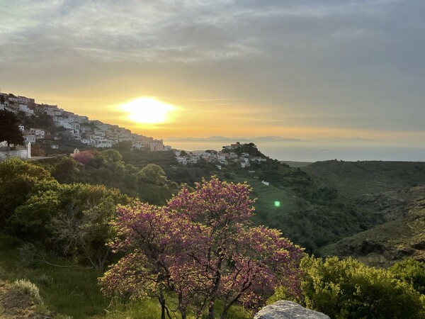 Ανακαλύπτουμε την ανοιξιάτικη Κέα