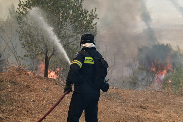 Λαύριο: Φωτιά σε δασική έκταση - Κινητοποίηση της Πυροσβεστικής 