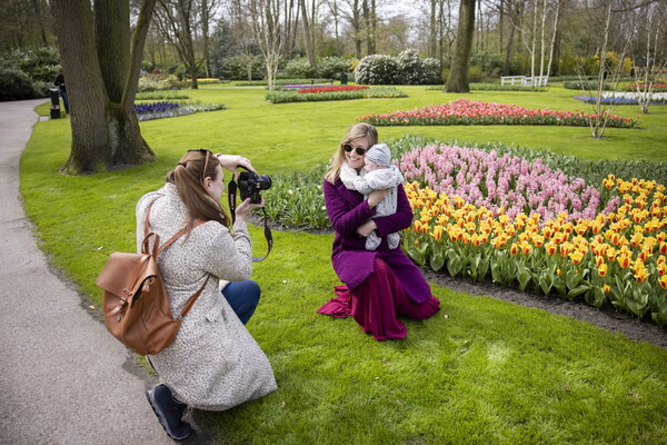 Στο Keukenhof φυτεύονται κάθε χρόνο 7 εκατομμύρια λουλούδια και ζουν για μόλις δυο μήνες