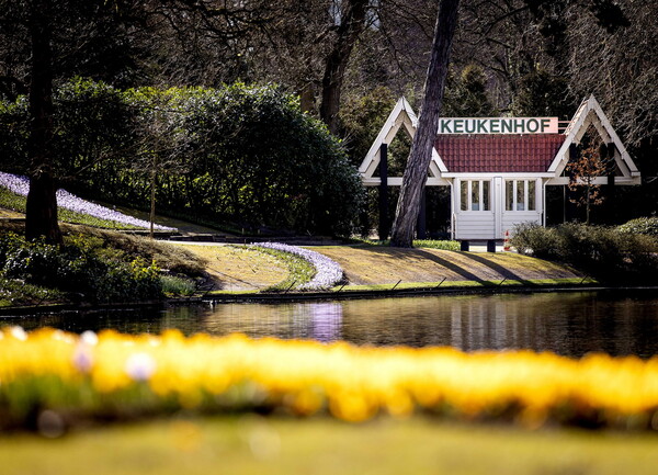 Στο Keukenhof φυτεύονται κάθε χρόνο 7 εκατομμύρια λουλούδια και ζουν για μόλις δυο μήνες