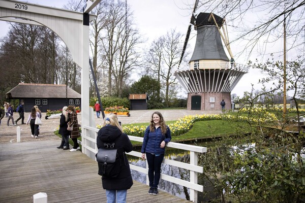 Στο Keukenhof φυτεύονται κάθε χρόνο 7 εκατομμύρια λουλούδια και ζουν για μόλις δυο μήνες