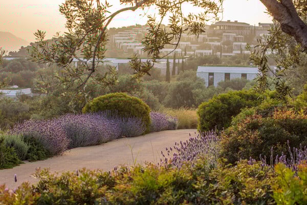 Amanzoe