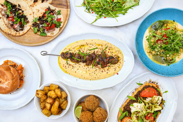 Lebanese menu six dogs