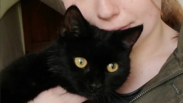 Cat Missing for 10 Days Saved from the Bottom of a Well After Dog Hears Her Cries