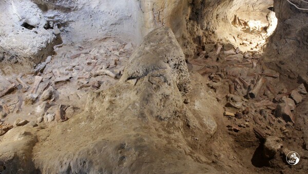 Neanderthal remains unearthed in Italian cave