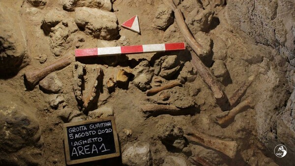 Neanderthal remains unearthed in Italian cave