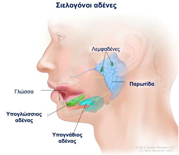 Σύνδρομο Sjogren: Το Δεύτερο πιο Συχνό Αυτοάνοσο στις Γυναίκες