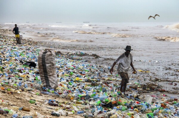 Half of single-use plastic waste produced by just 20 companies