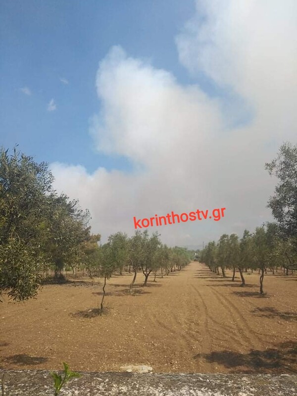 Φωτιά στην Κορινθία: Κάηκε ολοσχερώς γνωστό οινοποιείο - Φωτογραφίες