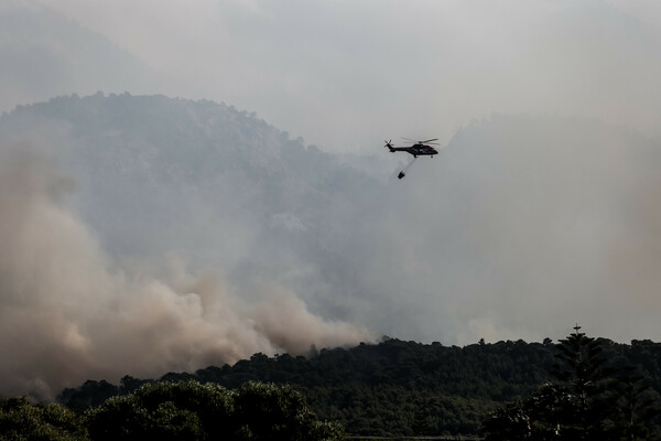 Φωτιά σε Κορινθία και Αττική: Αναζωπύρωση στα Μέγαρα - Εκκενώθηκαν οι οικισμοί Παπαγιαννέικα και Καλκάνι