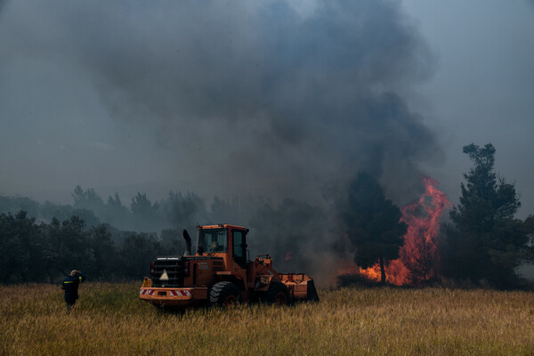 Φωτιά σε Κορινθία και Αττική: Μάχη με τις αναζωπυρώσεις, διάσπαρτες εστίες