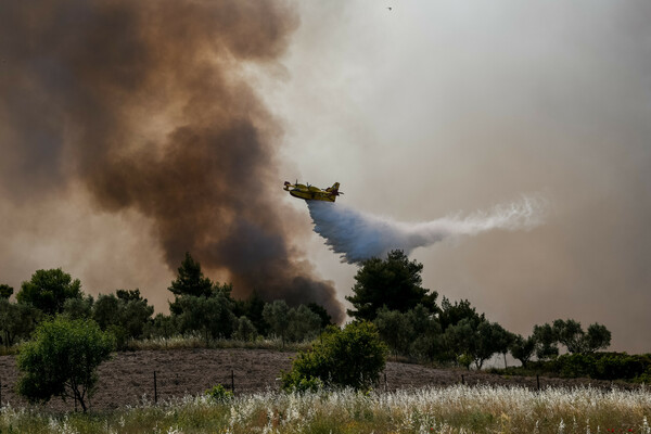 Μητσοτάκης: Οι 18 περιοχές που κινδυνεύουν από πυρκαγιές- Πολλά κομμένα δέντρα δεν έχουν καθαριστεί