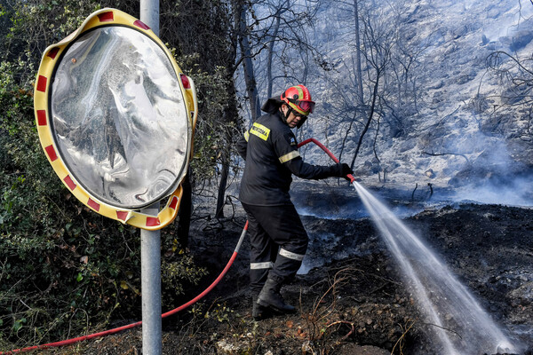 Φωτιά στο Σχίνο: Κομμένο ιδιωτικό δασικό δρόμο βρήκαν οι πυροσβέστες- Έκαναν κύκλο 5 χιλιομέτρων