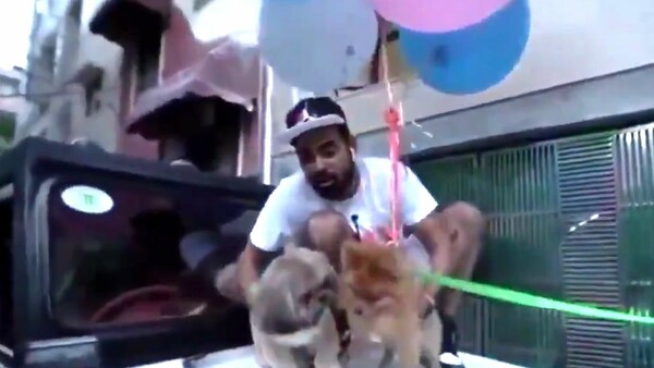 Ινδία: YouTuber συνελήφθη επειδή έδεσε τον σκύλο του σε μπαλόνια με ήλιο «για να πετάξει»