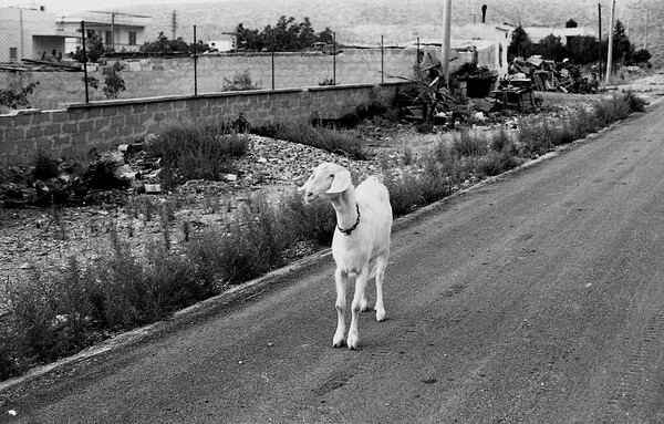 Η Γλυφάδα το 1973