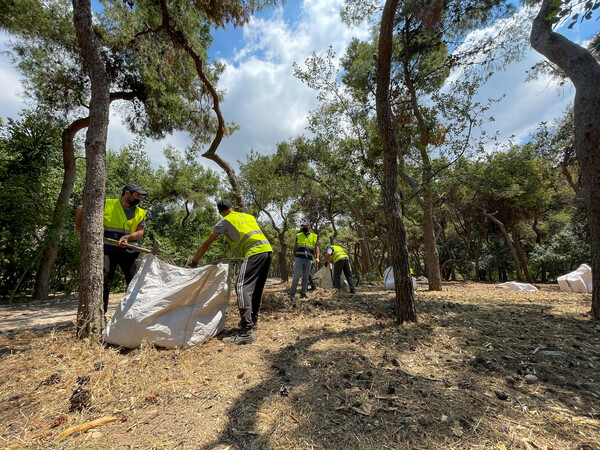 Άλσος Ευελπίδων: Ανάπλαση στον πνεύμονα πρασίνου από τον Δήμο Αθηναίων