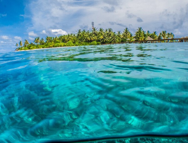 #RFTO challenge: Φέτος κάθε χιλιόμετρο που τρέχουμε βοηθά στο να καθαριστούν 10 πλαστικά μπουκάλια απ' τους ωκεανούς