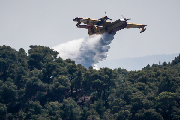 Πυρκαγιά στα Μέγαρα: Καίγεται δασική έκταση κοντά στο πεδίο βολής