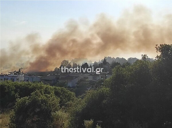 Θεσσαλονίκη: «Συναγερμός» για πυρκαγιά στην Πυλαία - Κοντά σε σπίτια