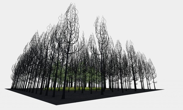 Ένα δάσος με πάνω από 400 καμένα πεύκα στη Μπιενάλε της Βιέννης