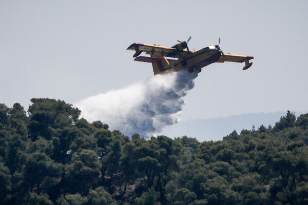 Φωτιά στην Εύβοια- Σε δασική έκταση στην περιοχή Γούβες