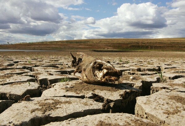 Προειδοποίηση ΟΗΕ: Η ξηρασία μπορεί να είναι «η επόμενη πανδημία» 