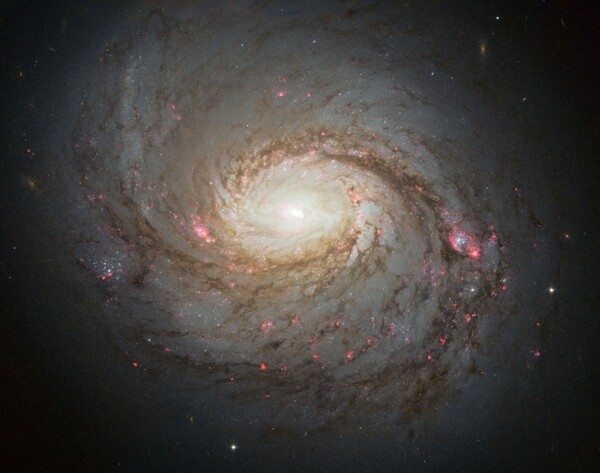 NASA: Το τηλεσκόπιο Hubble αποκάλυψε το μυστικό του Γαλαξία NGC 3254«