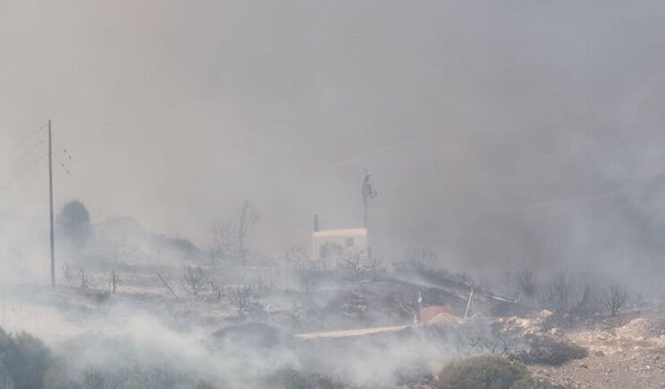 Σε ύφεση η φωτιά στην Πάρο: Χωρίς ενιαίο μέτωπο, μόνο με διάσπαρτες εστίες 