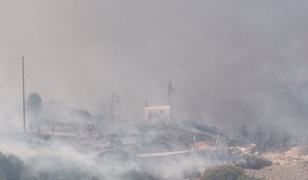 Φωτιά στην Πάρο: Οι φλόγες έφθασαν κοντά σε σπίτια 