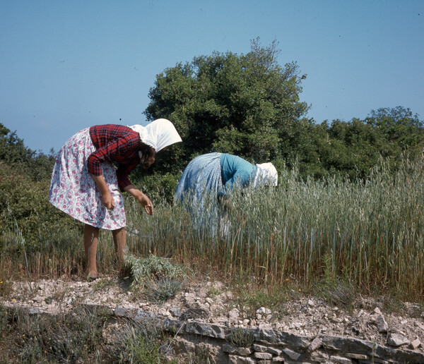 Αλόννησος