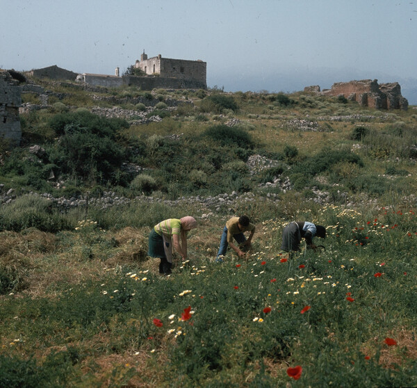 Κρήτη 