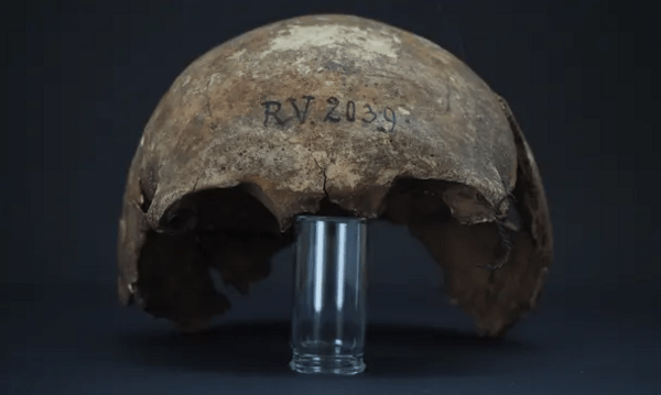 Πριν 5.000 χρόνια: Nεαρός κυνηγός-τροφοσυλλέκτης, το πρώτο γνωστό θύμα πανώλης στον κόσμο