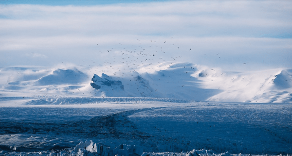 Ζερεφός: Ο κορωνοϊός μπορεί να προήλθε από το λιώσιμο των πάγων στη Σιβηρία 