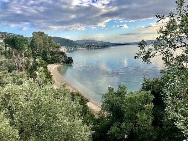 "Αγκαλιάστε τη σοφία της φύσης με το Nature Coaching