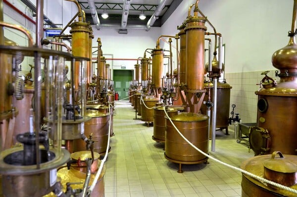 Αυτό το καλοκαίρι θα (ξανα)τσουγκρίσουμε με ούζο