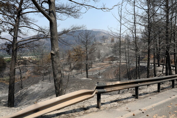 Κύπρος: Υπό μερικό έλεγχο η ολέθρια πυρκαγιά - Καμένα σπίτια, ζημιές, 4 νεκροί - 