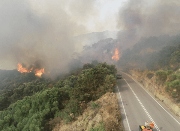 Φωτιά στη Χίο: Εκκενώθηκαν τρεις οικισμοί - Οι φλόγες απείλησαν σπίτια στο χωριό Κατάβαση