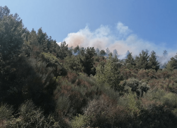 Φωτιά στη Χίο: Εκκενώθηκαν τρεις οικισμοί - Οι φλόγες απείλησαν σπίτια στο χωριό Κατάβαση (Εικόνες & Βίντεο)