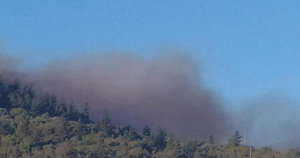 Φωτιά στη Χίο: Εκκενώθηκαν τρεις οικισμοί - Οι φλόγες απείλησαν σπίτια στο χωριό Κατάβαση