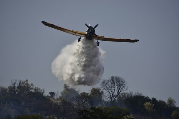 Χίος: Φωτιά σε δασική περιοχή - Εκκενώθηκε το χωριό Κατάβαση 