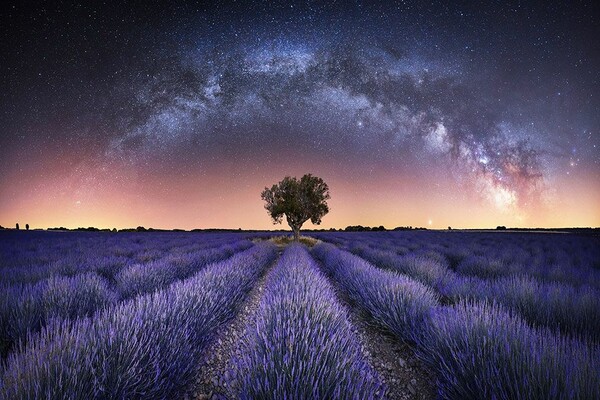 Astronomy Photographer of the Year 2021: Απόκοσμες εικόνες στον 13ο διαγωνισμό αστροφωτογραφίας