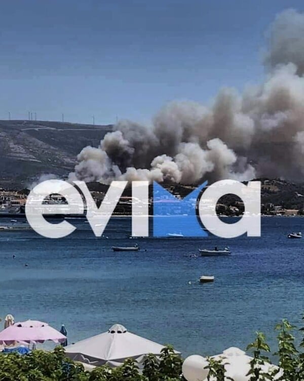 Πυρκαγιά σε Ελευσίνα, Βαρνάβα, Εύβοια και Βόλο: Μάχη να μην φτάσουν οι φλόγες στα Στύρα