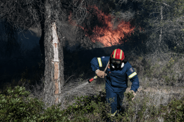 «Συναγερμός» για πυρκαγιά στη Χασιά Αττικής: Στο σημείο ισχυρές πυροσβεστικές δυνάμεις